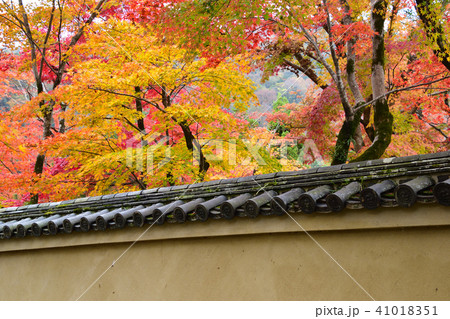 秋 京都嵯峨野 秋 京都嵯峨野 41018351