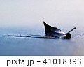 落ち葉 41018393