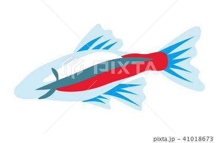 ネオンテトラ 熱帯魚 クリップアートのイラスト素材