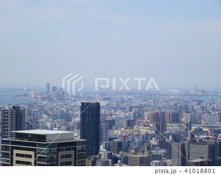 空中庭園 41018801