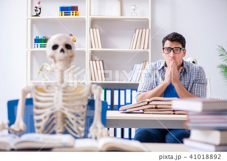 Student skeleton listening to lecture in classroom Student skeleton listening to lecture in classroom 41018892