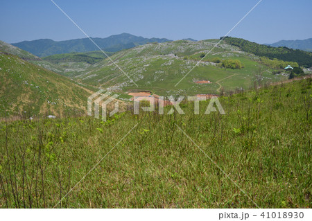 秋吉台　帰水ウバーレ 41018930