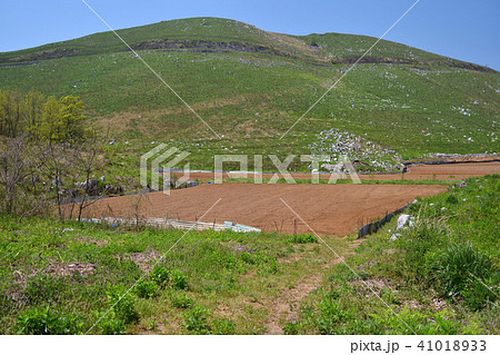 秋吉台　北山とドリーネ畑 41018933