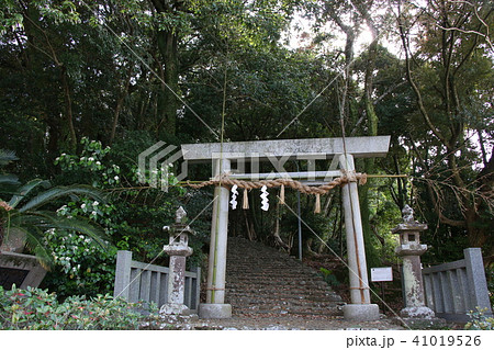 鎮守の杜の入口 41019526