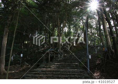 鎮守の杜 鎮守の杜 41019527