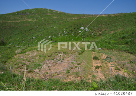 秋吉台　ドリーネ畑 41020437