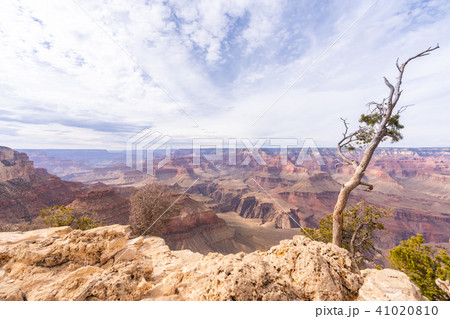 South rim of Grand Canyon 41020810