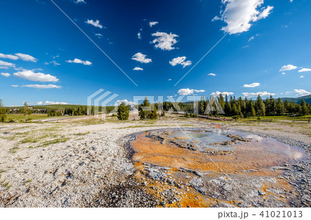 Hot thermal spring in Yellowstone 41021013
