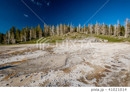 Hot thermal spring in Yellowstone 41021014