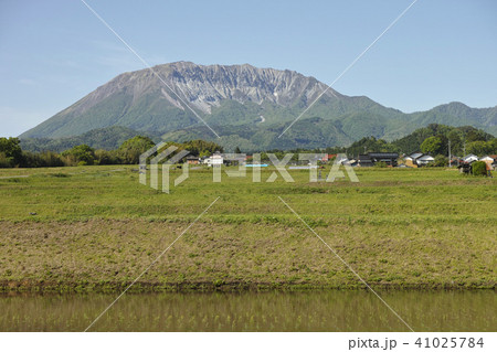 初夏の大山南西麓 初夏の大山南西麓 41025784
