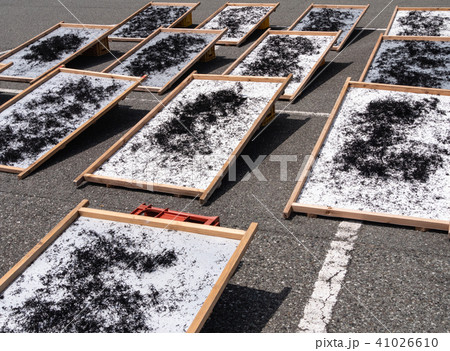 静岡県 南伊豆町 ひじき 天日干し 41026610