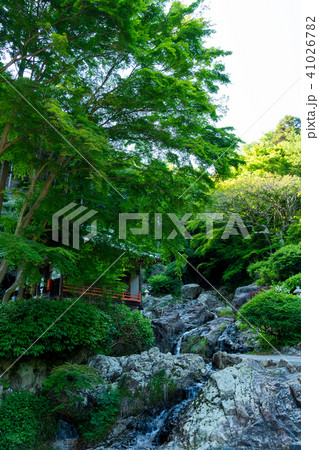 新緑の季節の寺院境内の風景 新緑の季節の寺院境内の風景 41026782