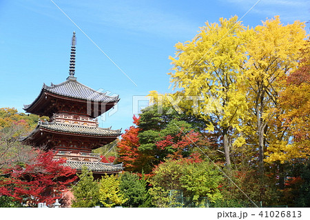 京都 秋の宝積寺 京都 秋の宝積寺 41026813