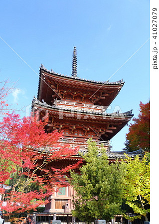 京都　秋の宝積寺 41027079
