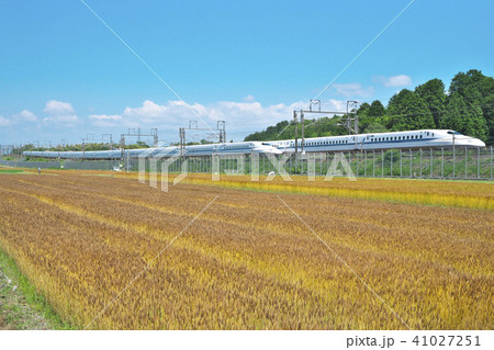 麦秋の新幹線 麦秋の新幹線 41027251