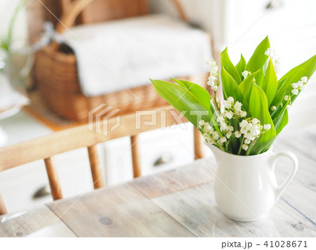 スズランと室内インテリア 41028671
