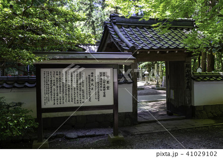 美作誕生寺勢至堂 美作誕生寺勢至堂 41029102