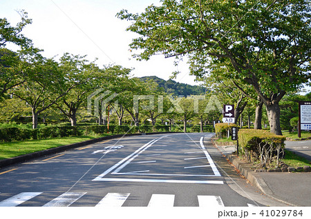 鎌倉霊園の写真 鎌倉霊園の写真 41029784