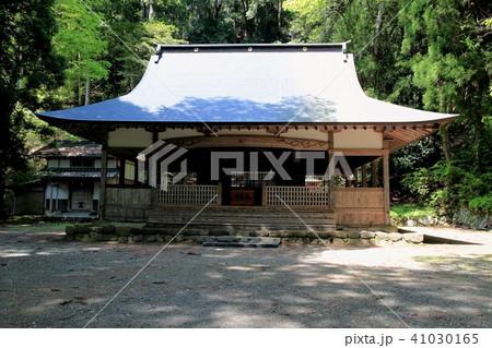 ボタン園（明建神社）・17 41030165