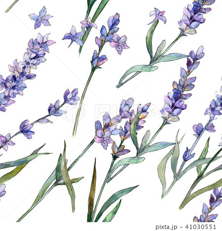 Violet Lavender Seamless Background Pattern のイラスト素材