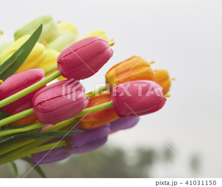 bouquet of tulips in spring bouquet of tulips in spring 41031150