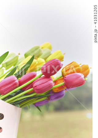 bouquet of tulips in spring bouquet of tulips in spring 41031205