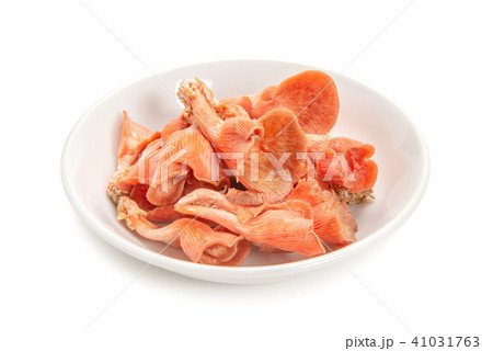 トキイロヒラタケ 41031763