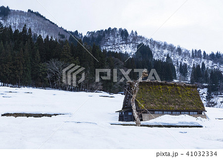 岐阜　白川郷の雪に囲まれた民家 41032334