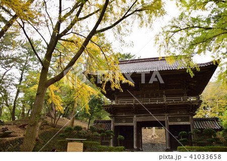 日枝神社 随神門 41033658