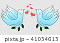 Bird the dove. Pigeon symbol of peace. Love birds. 41034613