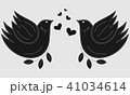 Bird the dove. Pigeon symbol of peace. Love birds. 41034614