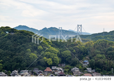 向島より因島大橋を望む 向島より因島大橋を望む 41034689