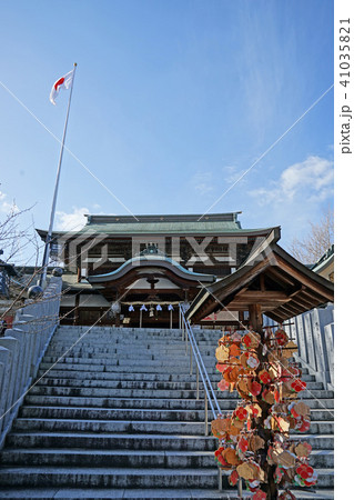 伊豫豆比古命神社 本堂 椿神社 伊豫豆比古命神社 本堂 椿神社 41035821