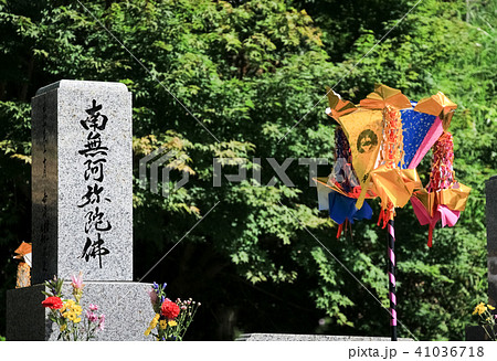 盆燈籠 盆燈籠 41036718