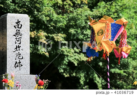 盆燈籠 41036719