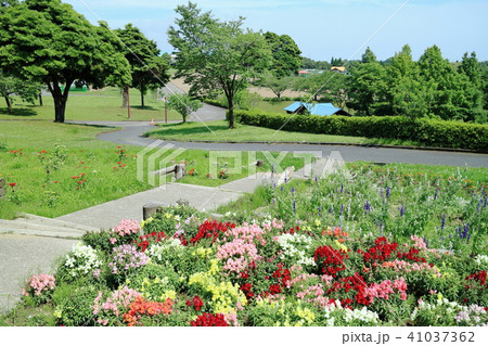 鹿児島市都市農業センターの花々の写真素材