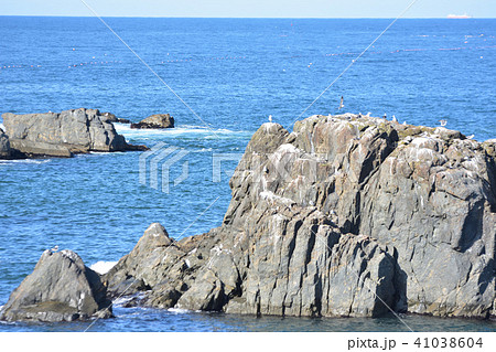 うみねこ岩 41038604