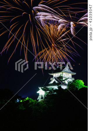 木曽川鵜飼開き花火大会 41039347
