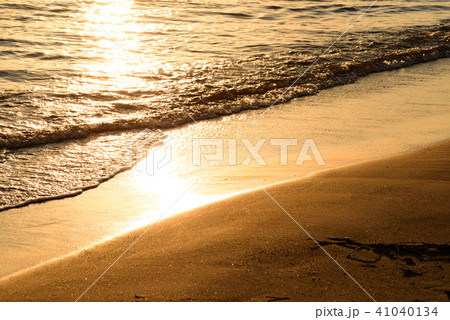 浜辺 浜辺 41040134