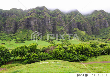 A magnificent view of Kualoa Ranch 41040323