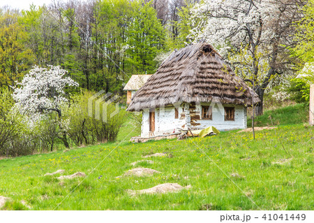 old natural style wooden cottage with straw roof in woodland landscape. 41041449