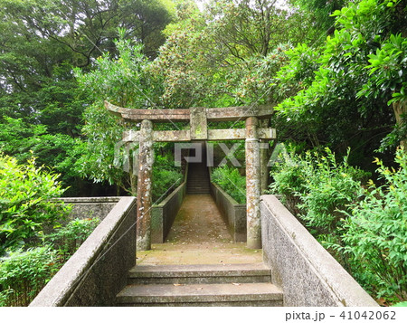 崎津諏訪神社 Sakitsu Suwa Shurine 崎津諏訪神社 Sakitsu Suwa Shurine 41042062