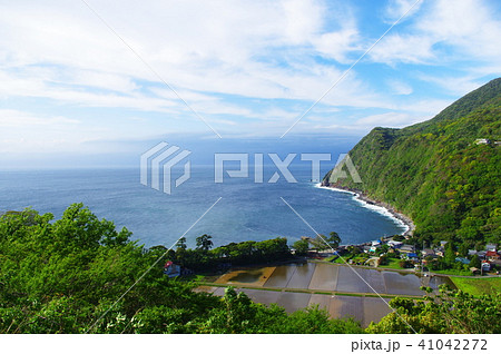 西伊豆から望む雄大な海の景色 西伊豆から望む雄大な海の景色 41042272