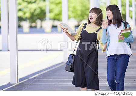 大学　女子大生　キャンパス 41042819