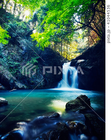 静岡県浜松市仙厳の滝 41044536