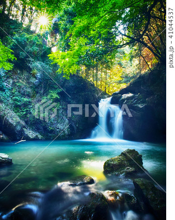 静岡県浜松市仙厳の滝 41044537