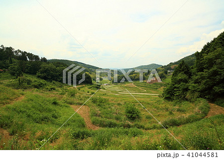 大垪和西棚田201806035dm28 41044581