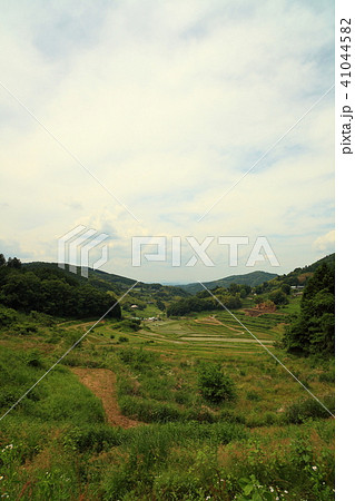 大垪和西棚田201806035dm29 大垪和西棚田201806035dm29 41044582