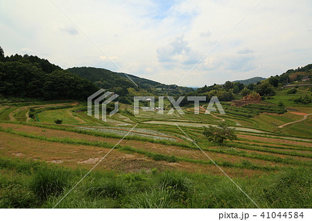 大垪和西棚田201806035dm211 41044584