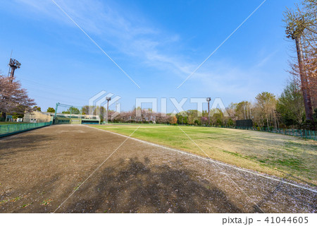 野球グラウンド 野球グラウンド 41044605